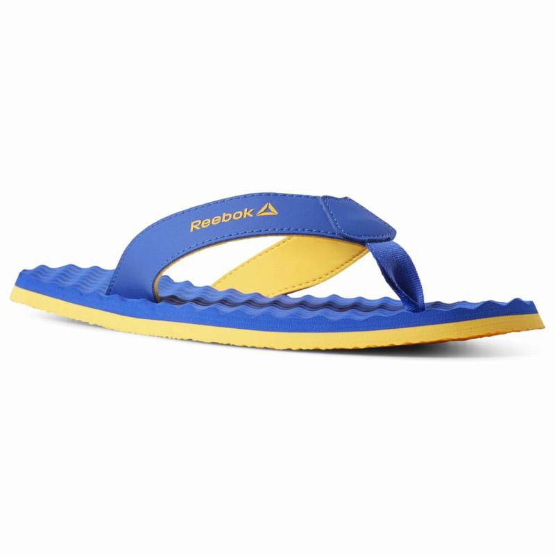 Papuci Reebok Misces Barbati Albastri/Aurii Romania LR2924TK